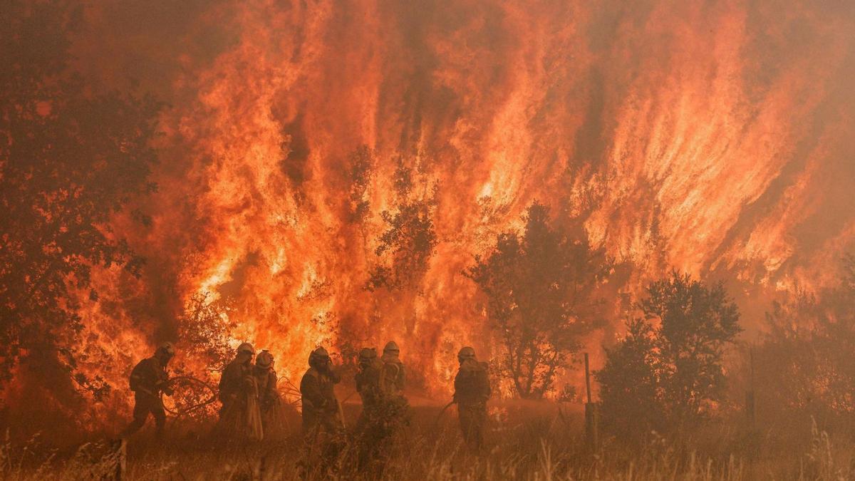 El incendio de Zamora, el mayor del siglo en la provincia, quema ya casi 25.000 hectáreas