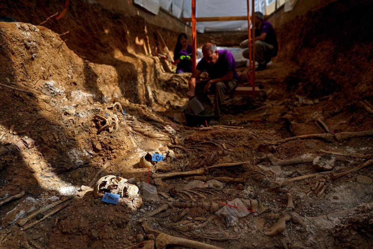 El calvari de les víctimes del franquisme El calvari de les víctimes del franquisme