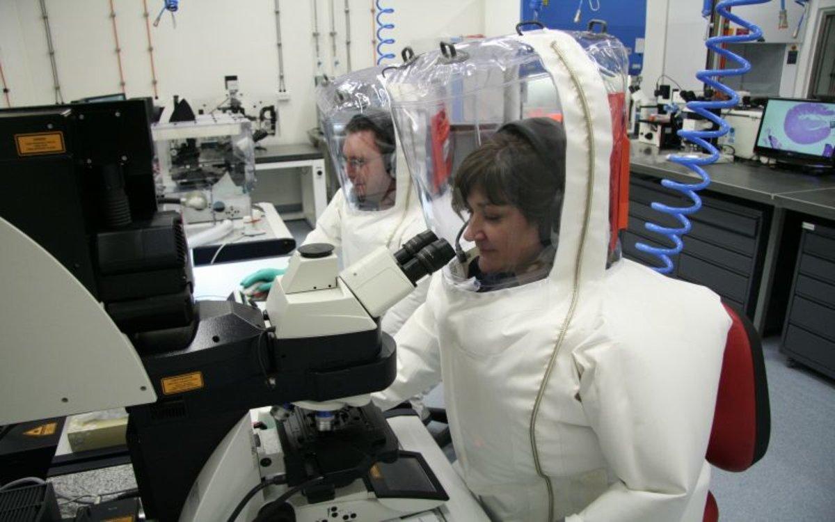 Científicos australianos investigan al coronavirus.