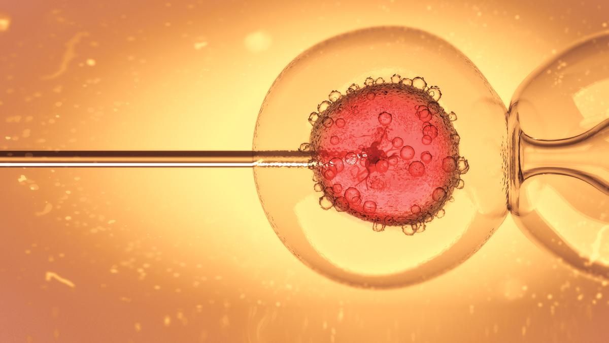 El proceso de reproducción asistida supone una alta carga emocional para la mujer. El proceso de reproducción asistida supone una alta carga emocional para la mujer.