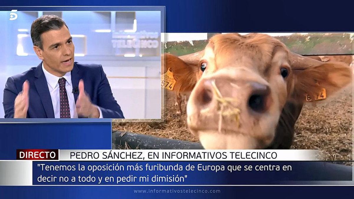 La crítica de Monegal: La seva primera entrevista, Sánchez la dona a Tele 5 La crítica de Monegal: La seva primera entrevista, Sánchez la dona a Tele 5
