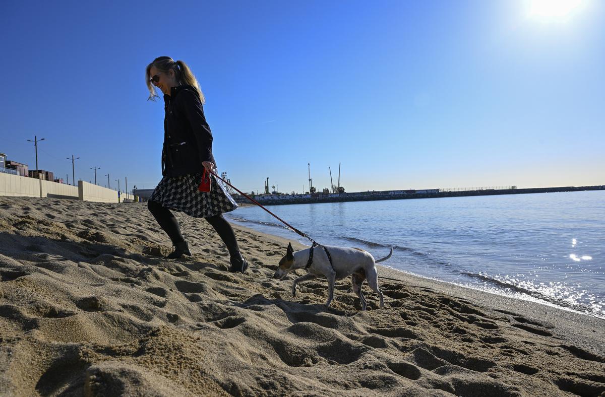 Una mujer pasea a su perro en la playa de Llevant de Barcelona. 