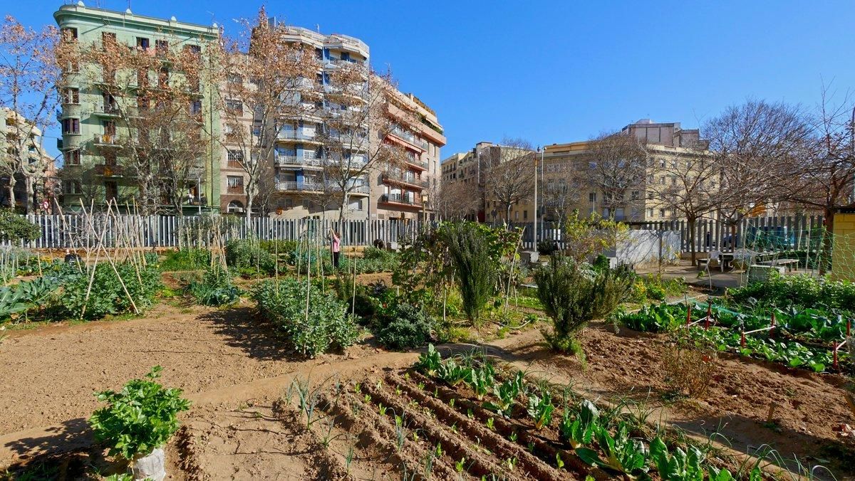 Barcelona posa sobre la taula el model alimentari Barcelona posa sobre la taula el model alimentari