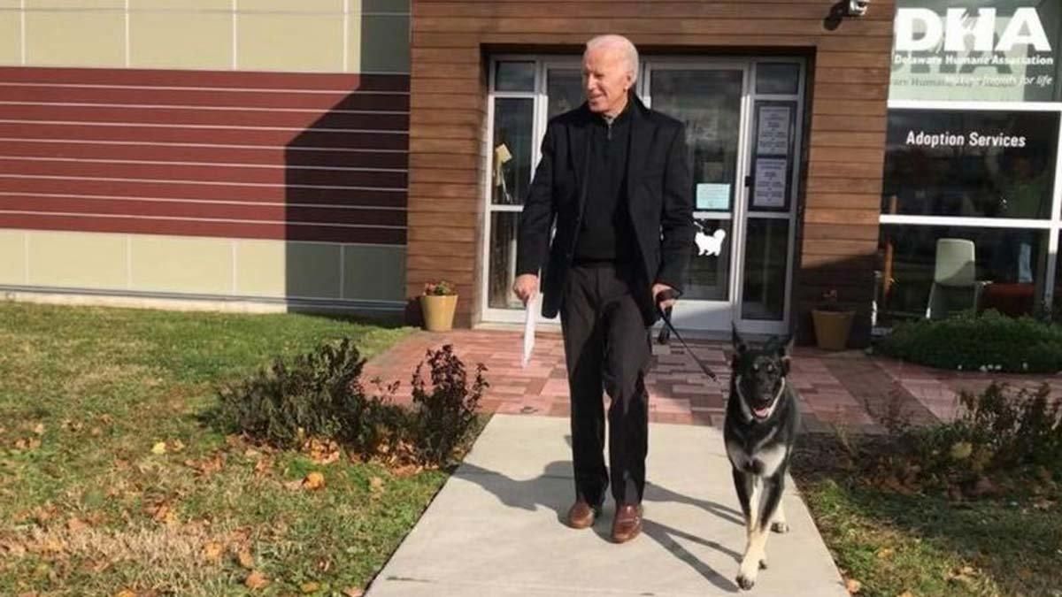 Biden con su perro. Biden con su perro.