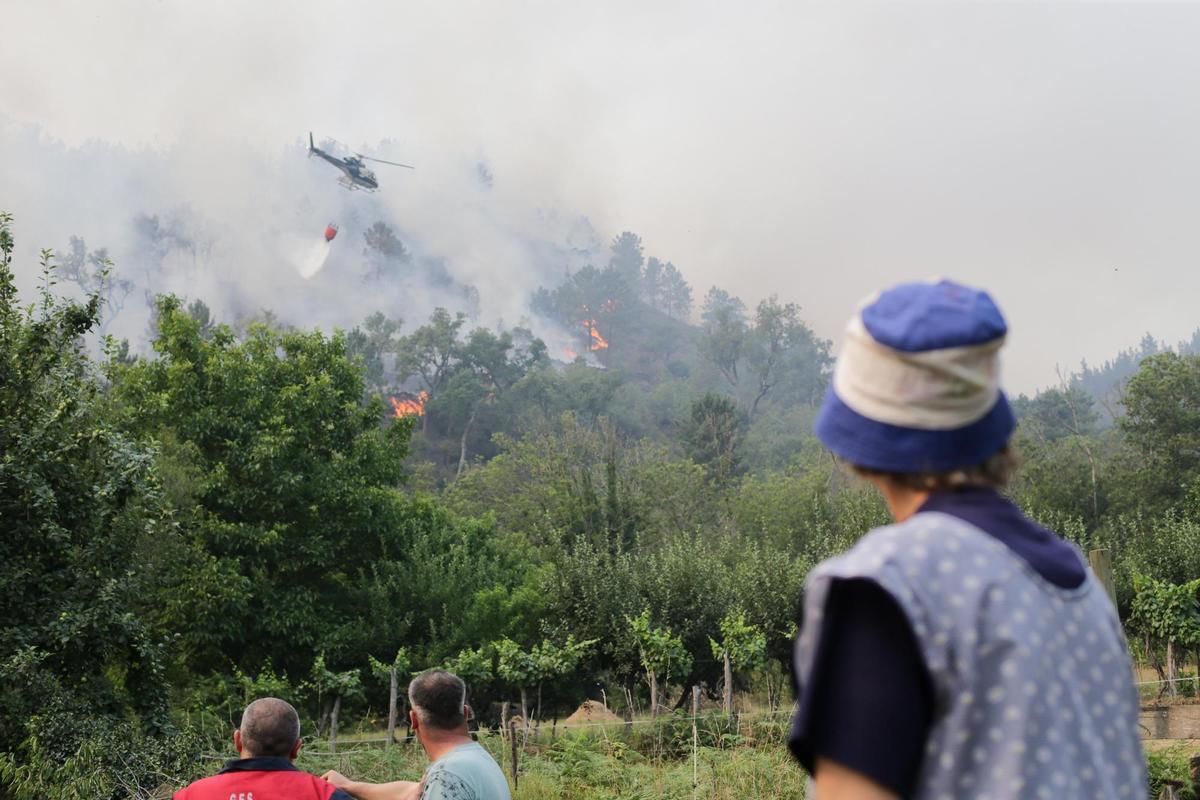 Los incendios forestales asolan España de norte a sur