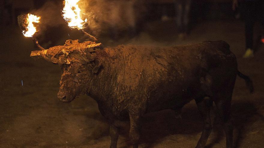 CPA CORRIDA DE TOROS TORO MANSO BADERILLADO A FUEGO 