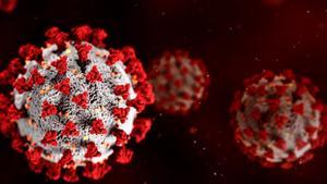 El virus del covid.