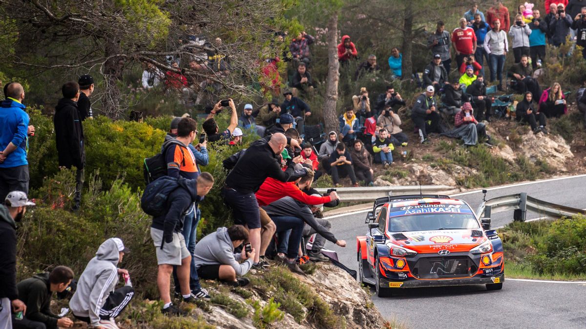 Thierry Neuville, en un tramo de la segunda jornada del Rally Catalunya. Thierry Neuville, en un tramo de la segunda jornada del Rally Catalunya.