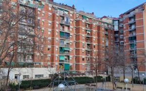 Els mosquits s’acarnissen amb una illa de pisos al Clot de Barcelona: «No sabem què fer»