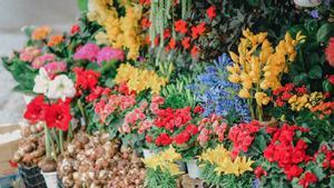 Flores vistosas en un comercio, expuestas para su venta.