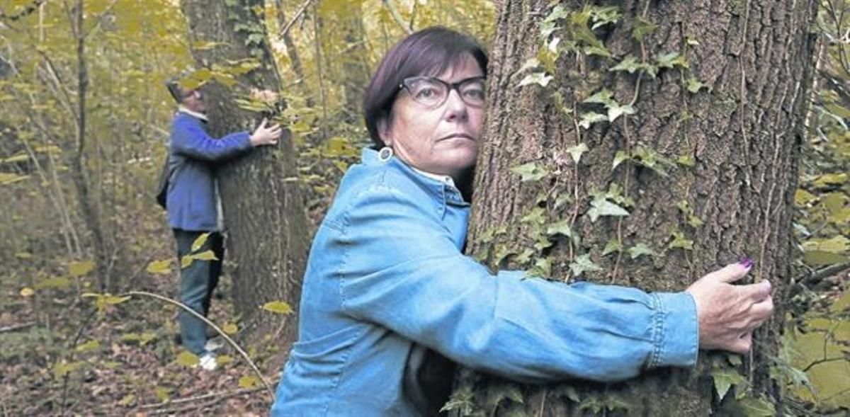 Participants en l’assaig clínic passegen pel bosc i s’abracen als arbres. Participants en l’assaig clínic passegen pel bosc i s’abracen als arbres.