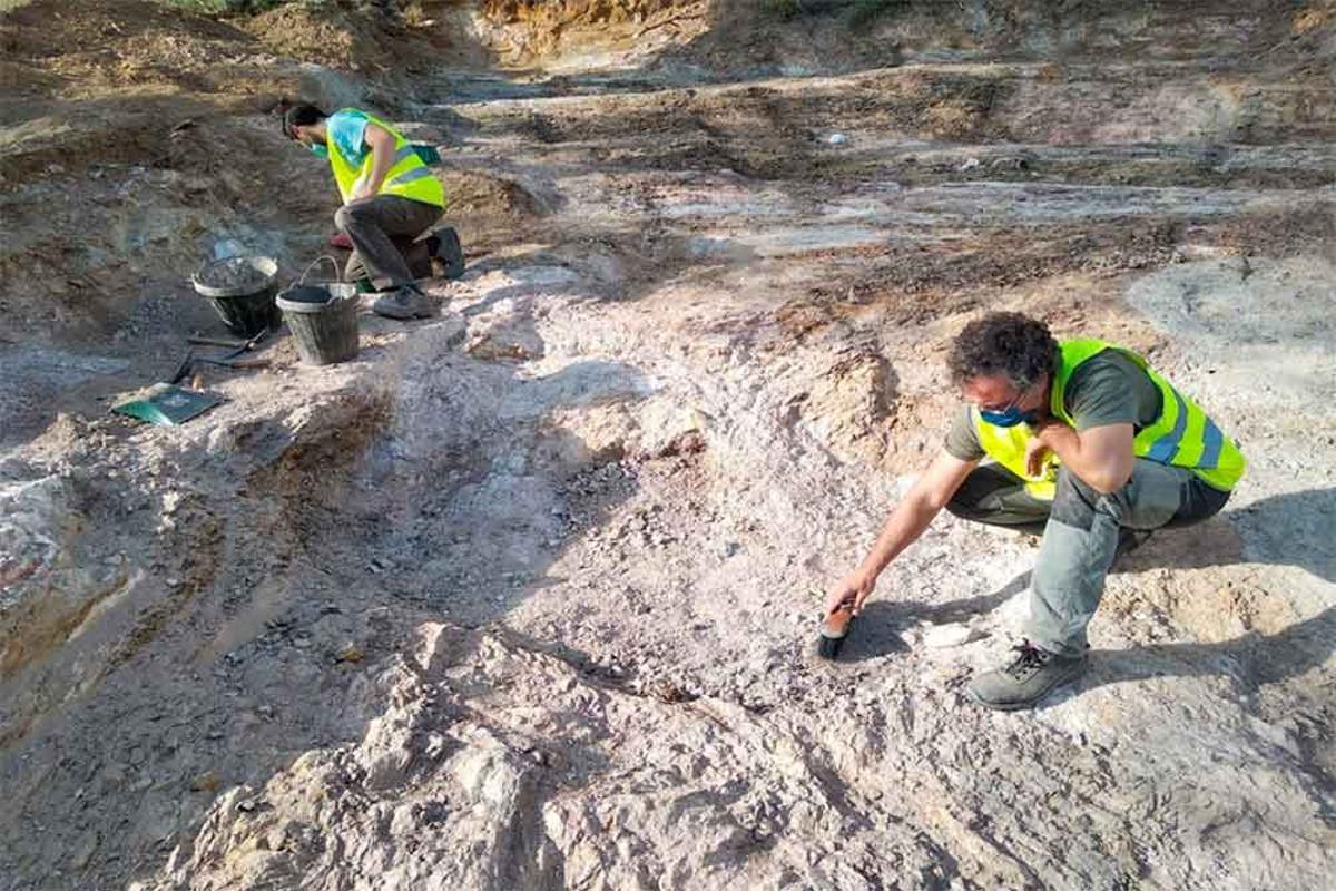 Descubren nuevos accesos a las minas neolíticas de Gavà