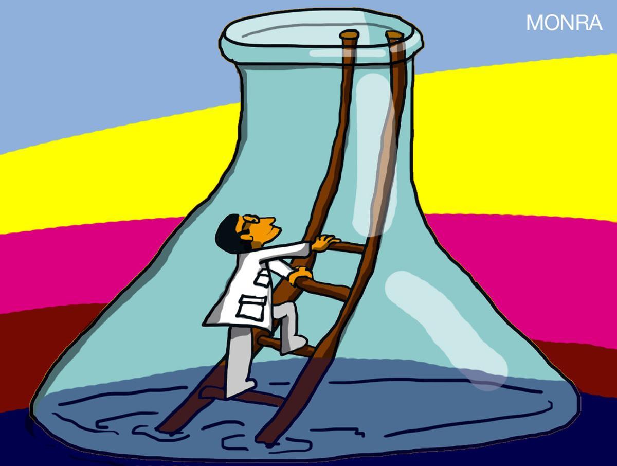wcientifico wcientifico