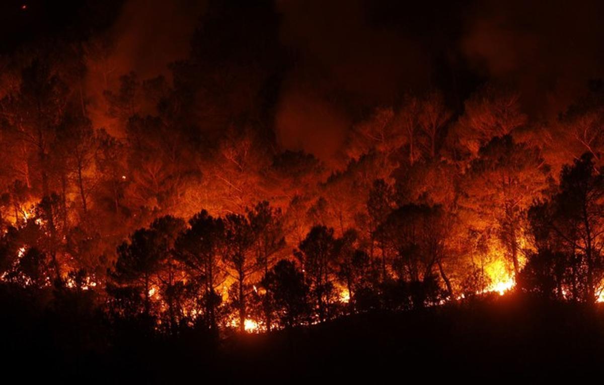 Las llamas, descontroladas en un bosque cercano a Boadella, la pasada noche. Las llamas, descontroladas en un bosque cercano a Boadella, la pasada noche.
