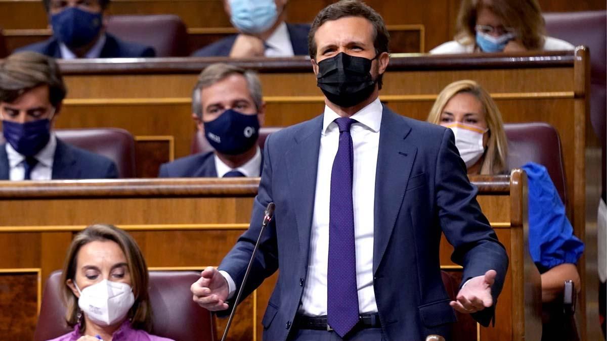 Pablo Casado. Pablo Casado.