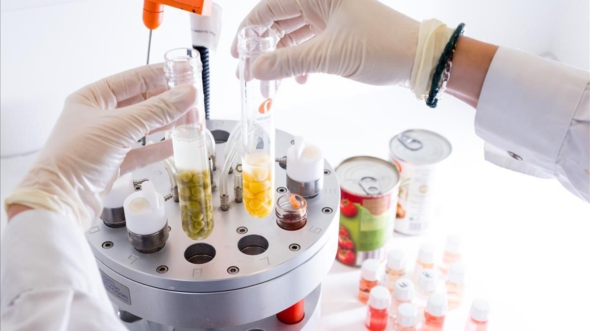Análisis para detectar disruptores endocrinos. Análisis para detectar disruptores endocrinos.