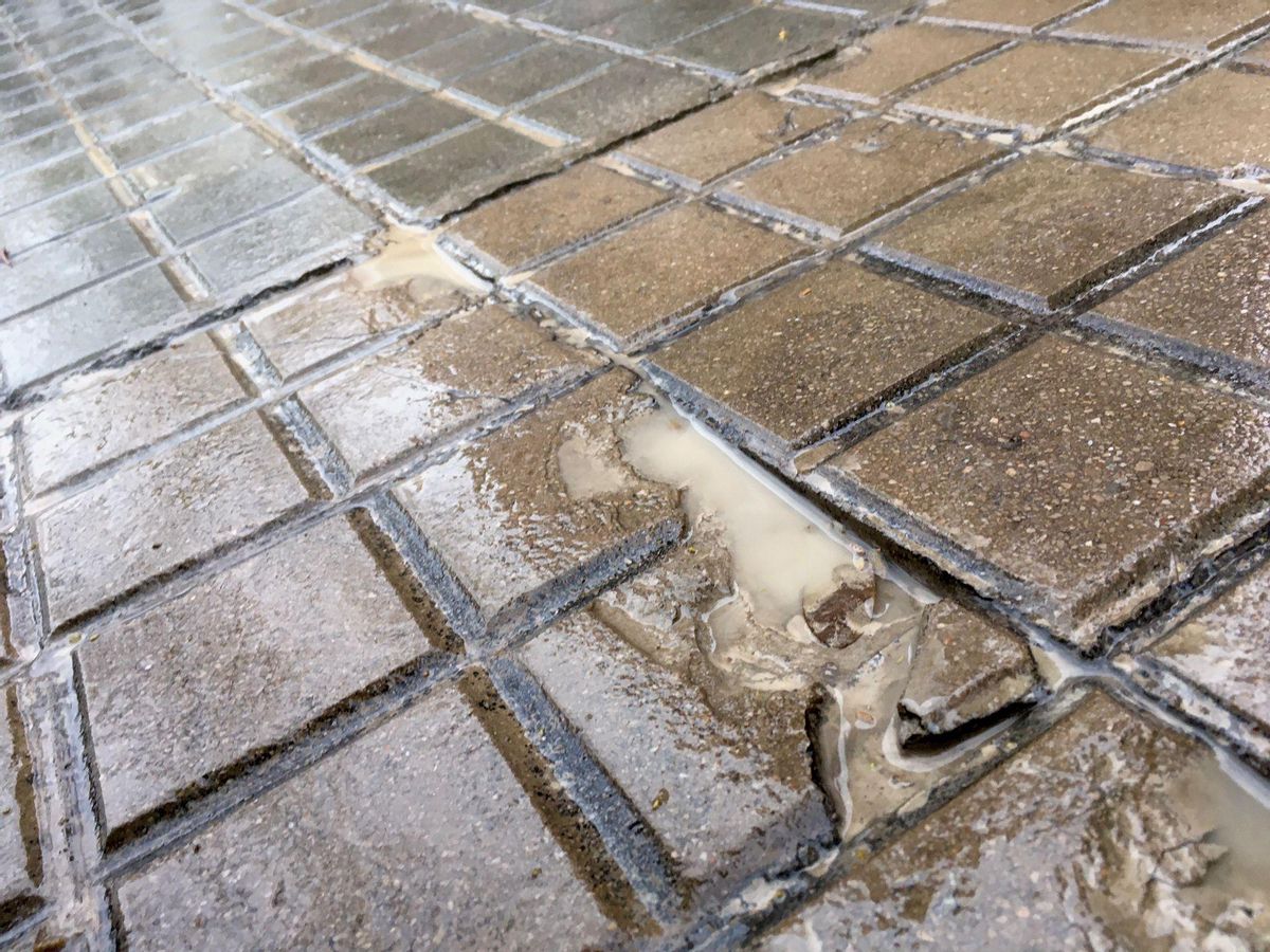 El canvi climàtic ha arrossegat tones de pols sahariana a Europa El canvi climàtic ha arrossegat tones de pols sahariana a Europa