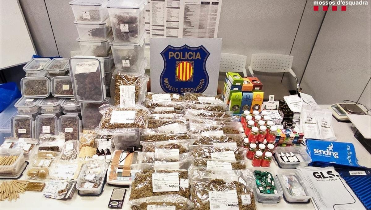 Dos detinguts a Badalona per tenir un laboratori de cànnabis a casa seva