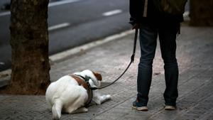 Un joven sujeta la correa de su perro mientras este está tendido en el suelo de una calle de Barcelona, el día de Sant Jordi del año pasado, durante el periodo de confinamiento.