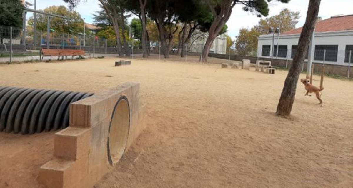Área lúdica para perros Área lúdica para perros