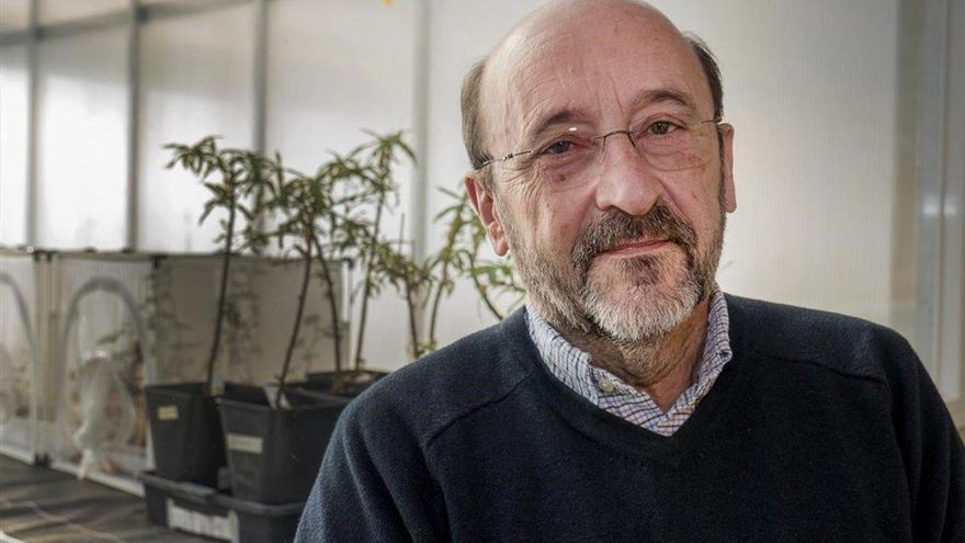 Pere Puigdomènech gana el Premio Europeo de Divulgación Científica