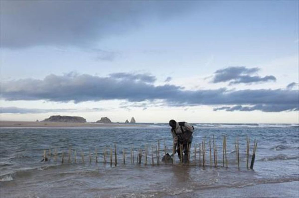Un hombre pesca en el parque natural del Montgrí, las islas Medes y el Baix Ter, en febrero pasado. Un hombre pesca en el parque natural del Montgrí, las islas Medes y el Baix Ter, en febrero pasado.