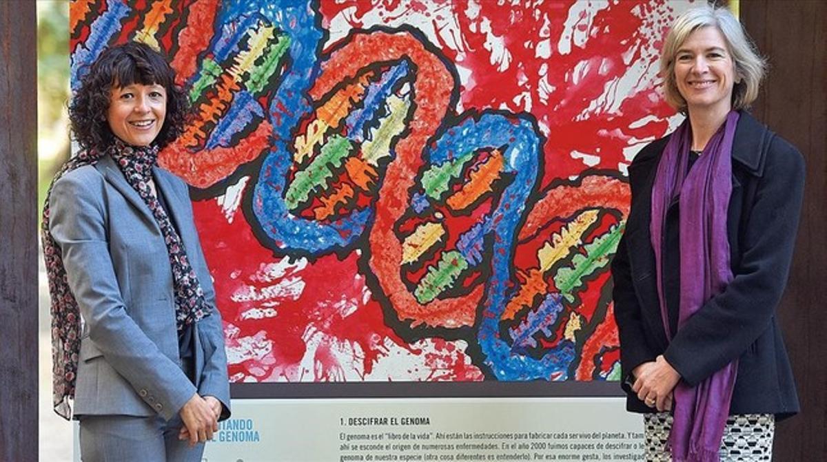 Las descubridoras del sistema CRISPR: Emmanuelle Charpentier y Jennifer Doudna.