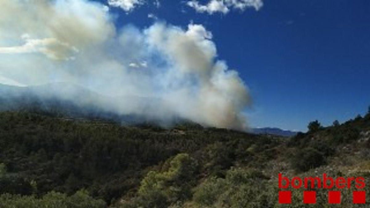 Controlat l'incendi forestal de Tivissa que crema des d'ahir Controlat l'incendi forestal de Tivissa que crema des d'ahir