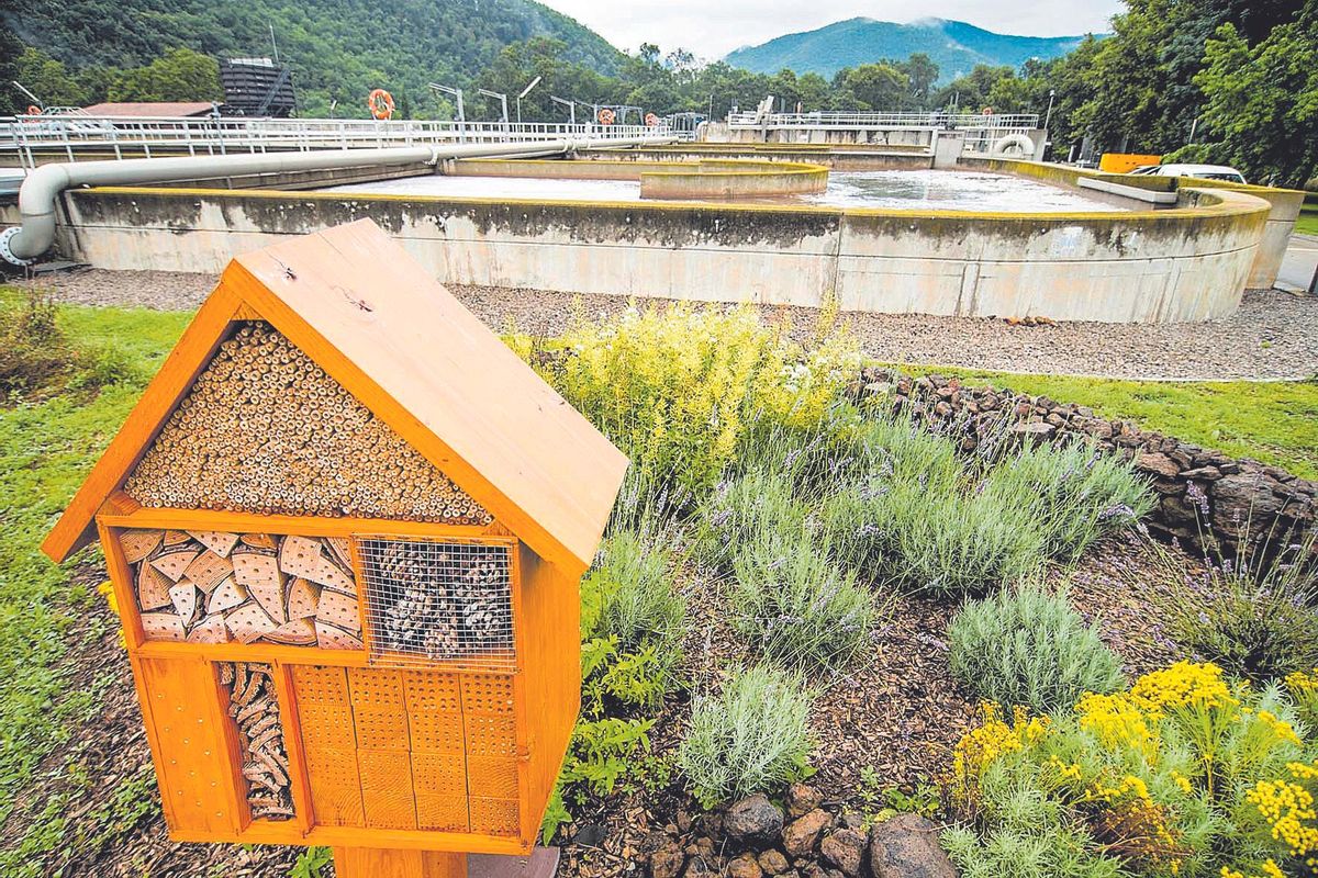 La estación de tratamiento de aguas residuales de Olot (La Garrotxa), gestionada por Agbar, está naturalizada y cuenta con un hotel de insectos, como parte de las acciones del grupo para favorecer la biodiversidad. La estación de tratamiento de aguas residuales de Olot (La Garrotxa), gestionada por Agbar, está naturalizada y cuenta con un hotel de insectos, como parte de las acciones del grupo para favorecer la biodiversidad.
