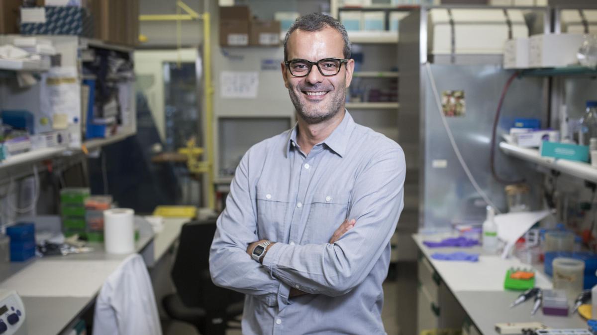 El doctor Salvador Aznar-Benitah, investigador del IRB Barcelona, que ha liderado un ensayo que demuestra que el ácido pálmitico favorece la expansión del cáncer. 