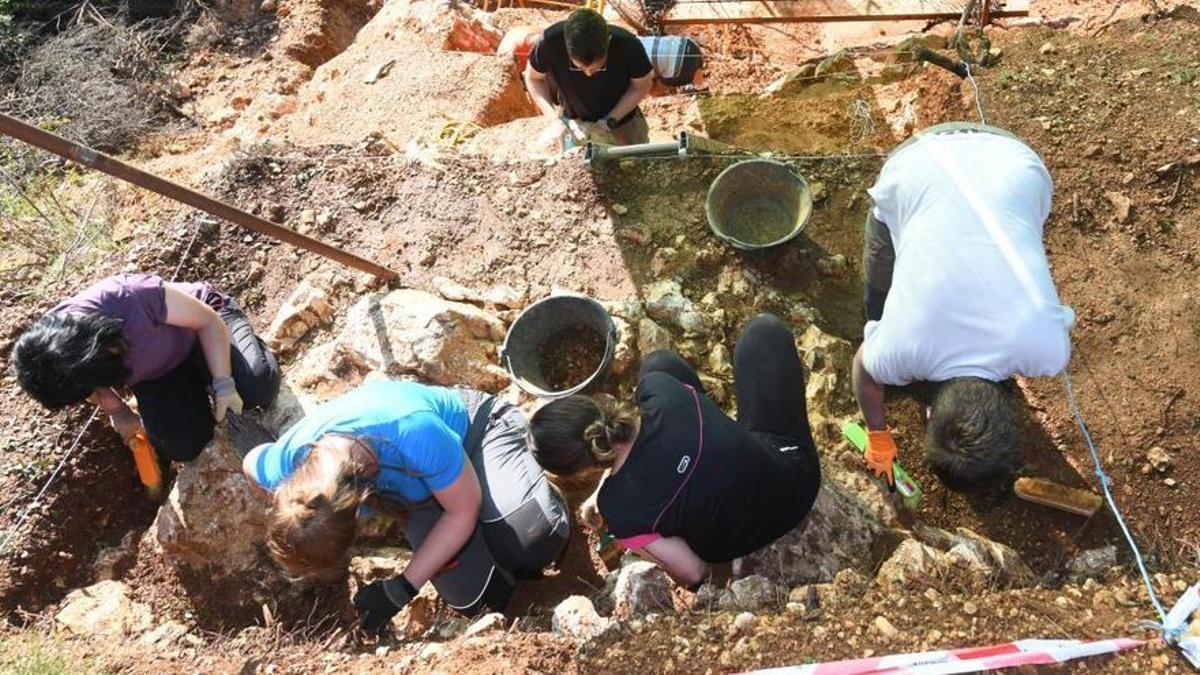 Els arqueòlegs troben a Atapuerca «la cara del primer europeu»