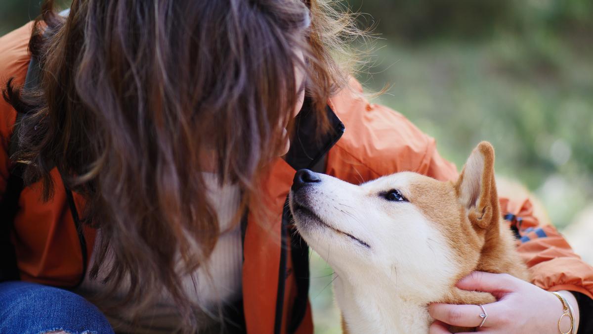 Una mujer habla con un perro