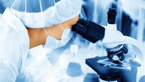 Un profesional del sector sanitario mira por un microscopio.  
