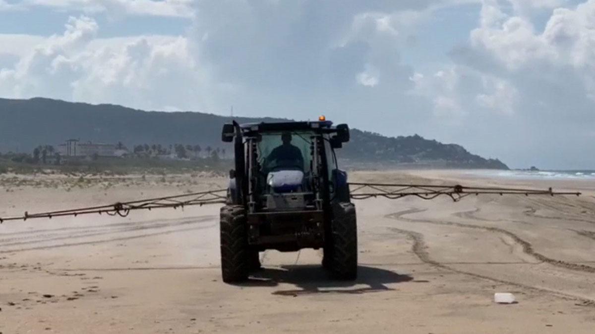 Los ecologistas denuncian la fumigación con lejía de la playa de Zahara de los Atunes.