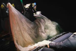 ¿Qué son, cómo son y qué se sabe de los objetos voladores no identificados derribados por EEUU?