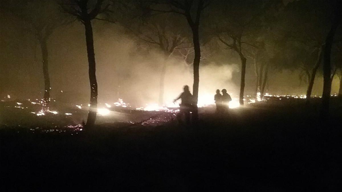 Incendio en el parque natural de Doñana.