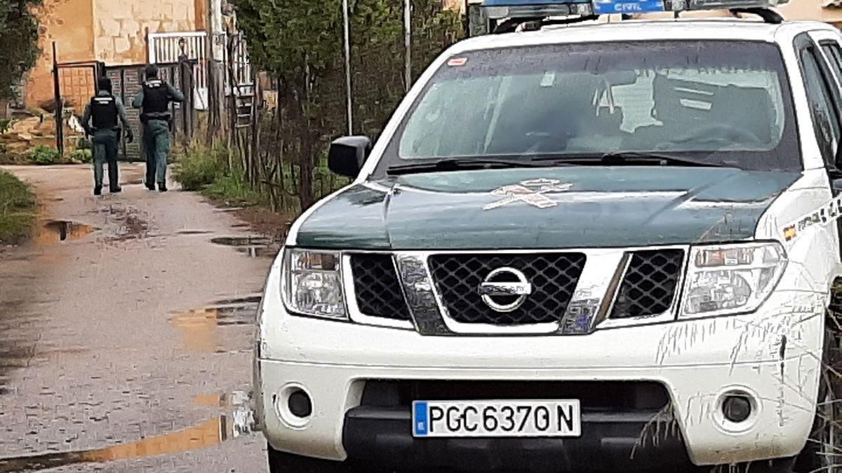 Siete detenidos en la redada contra la droga y el maltrato animal en Palma de Mallorca Siete detenidos en la redada contra la droga y el maltrato animal en Palma de Mallorca