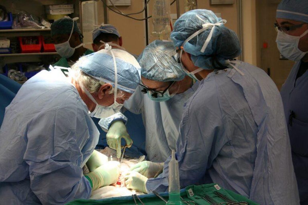 Italia trasplanta dos corazones de fallecidos con covid en pacientes sanos Italia trasplanta dos corazones de fallecidos con covid en pacientes sanos