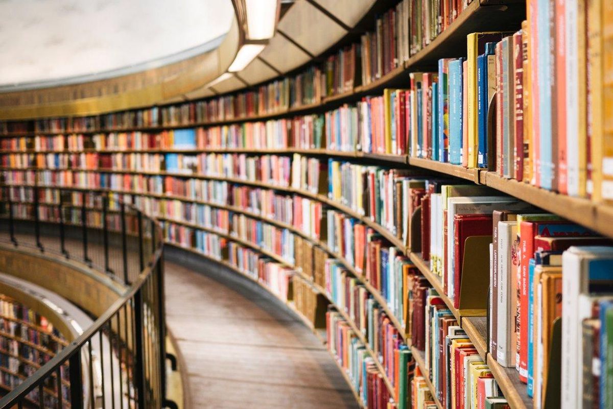 La cultura: lo menos elitista La cultura: lo menos elitista