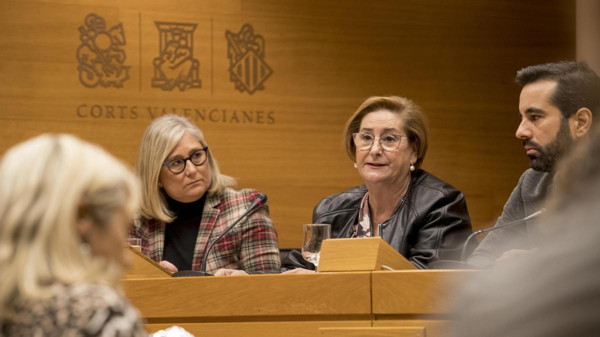 La Fiscalia valenciana rebutja totes les peticions de rebaixes de penes després de la ‘llei del només sí és sí’