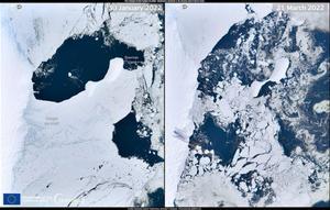 Una plataforma de hielo de más de 1.200 Km2 se desprende de la Antártida