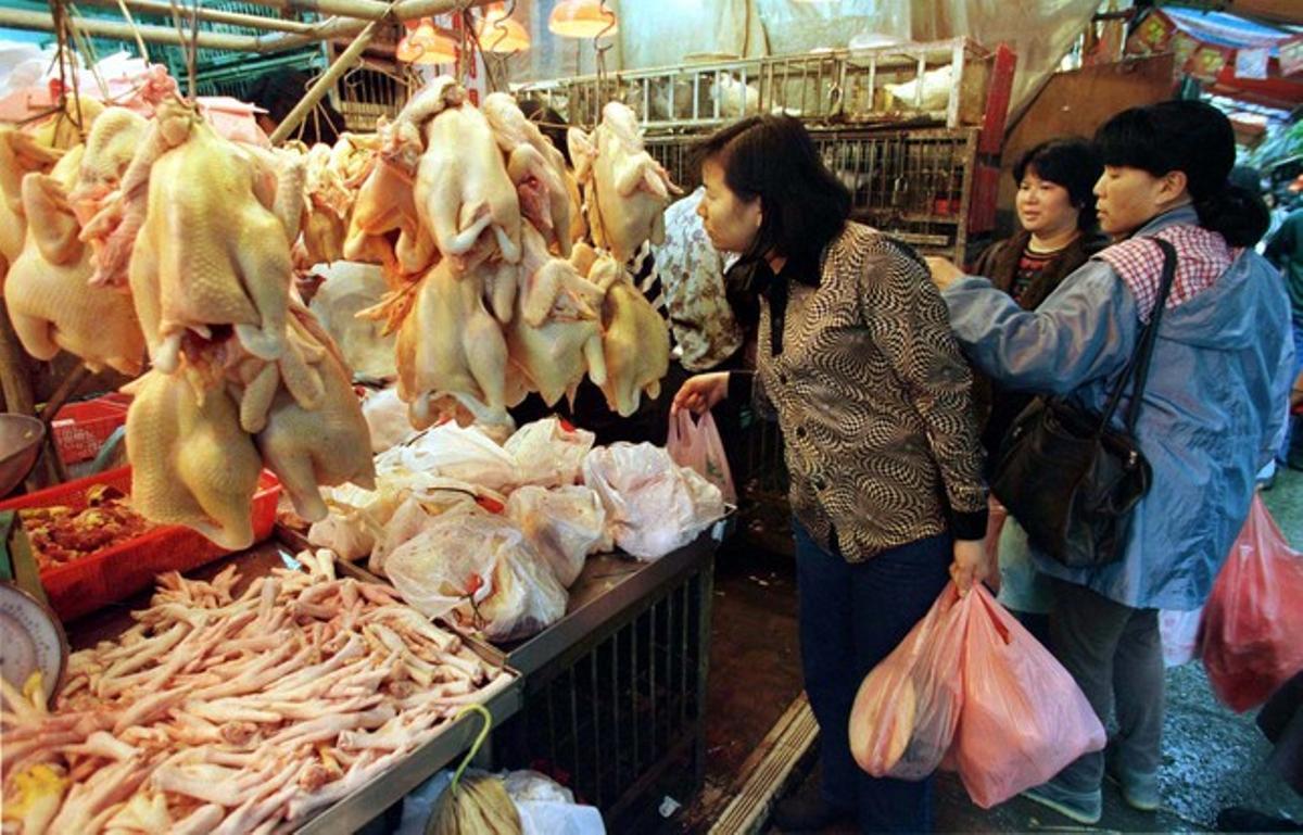 Mujeres chinas compran pollo en un mercado. Mujeres chinas compran pollo en un mercado.