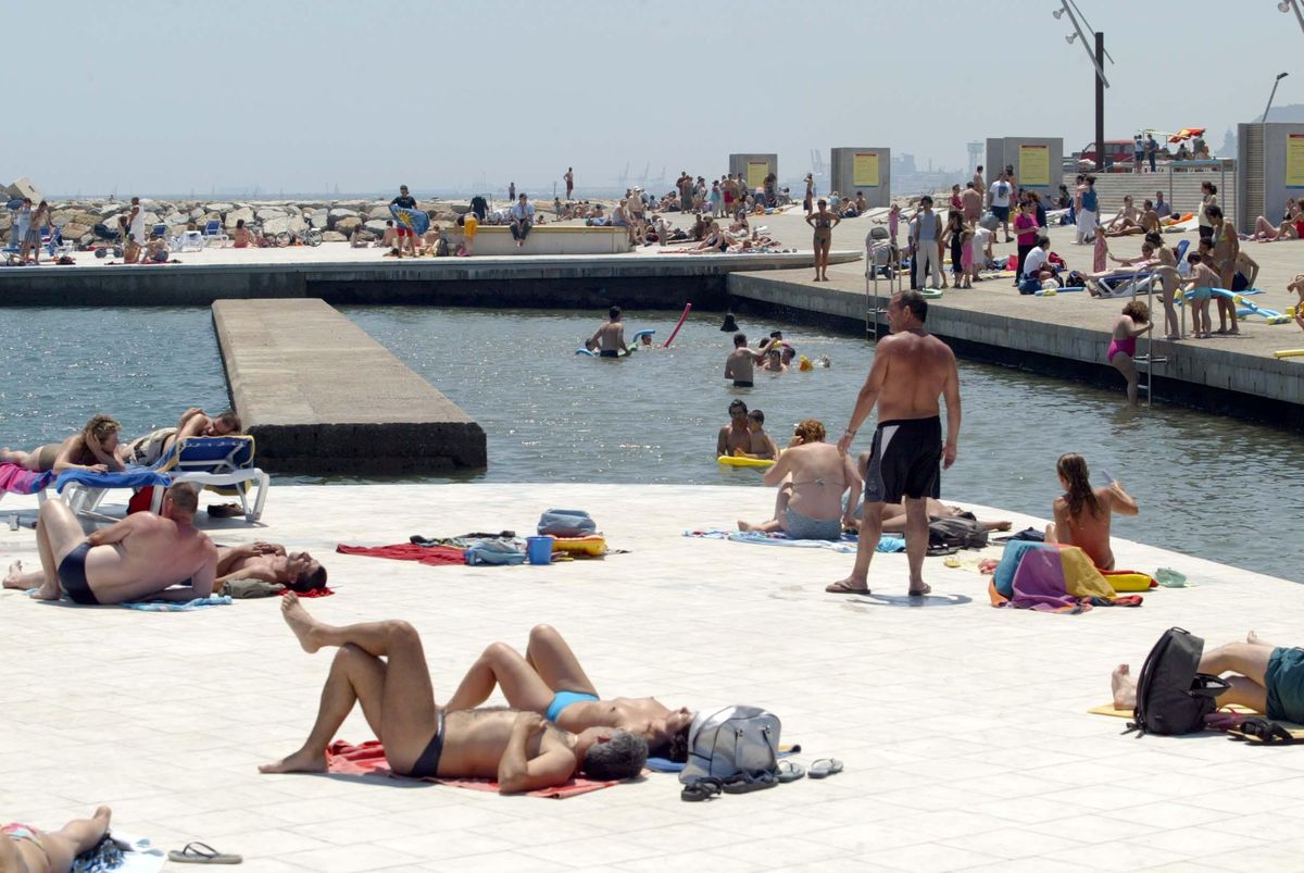 La playa del Fòrum de Barcelona tiene más de 500 especies marinas La playa del Fòrum de Barcelona tiene más de 500 especies marinas