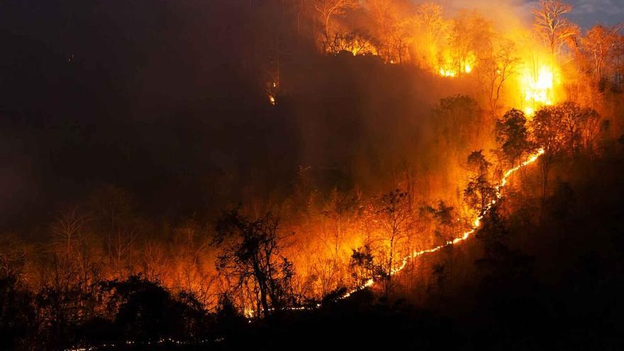 Incendio de Ávila: podría ser el cuarto más extenso de España desde 1961 - Vimarsana News