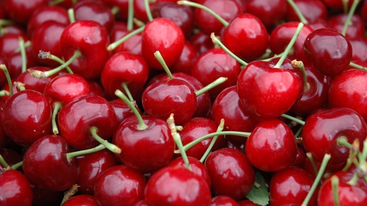 Un plato de cerezas frescas Un plato de cerezas frescas