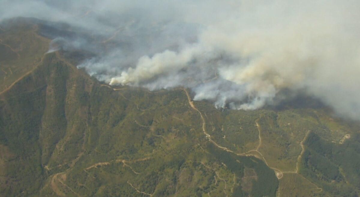 ¿Qué son los incendios de sexta generación, como el que ha arrasado Málaga? ¿Qué son los incendios de sexta generación, como el que ha arrasado Málaga?