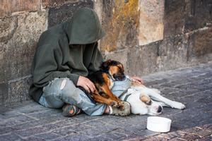Casi 3 de cada 4 personas sin hogar ven a su perro como su principal apoyo social
