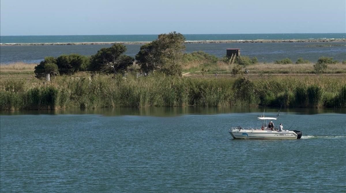 Tramo final del río Ebro, con la Illa de Buda al fondo, uno de los ecosistemas más frágiles del delta. Tramo final del río Ebro, con la Illa de Buda al fondo, uno de los ecosistemas más frágiles del delta.
