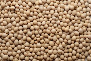 La UE autoriza importar soja, colza y algodón transgénicos para asegurar el suministro alimentario