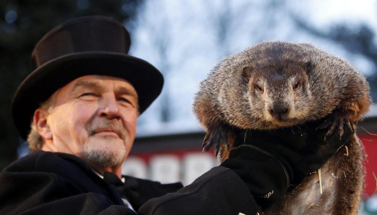 La marmota Phil pronostica sis setmanes més d’hivern: així ha sigut la sortida del seu cau